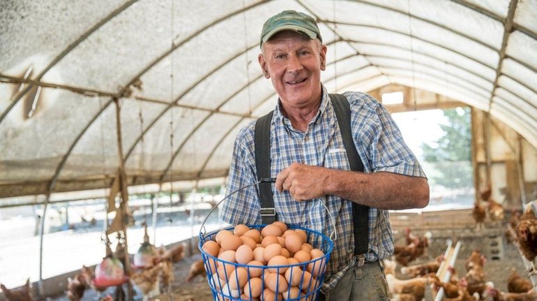 David Wines, farmer and owner at Ty Llwyd farm in...