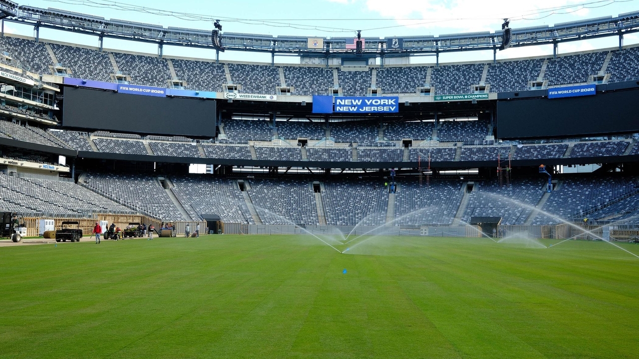 Free World Cup tickets to be distributed on Long Island, NYS says - Newsday