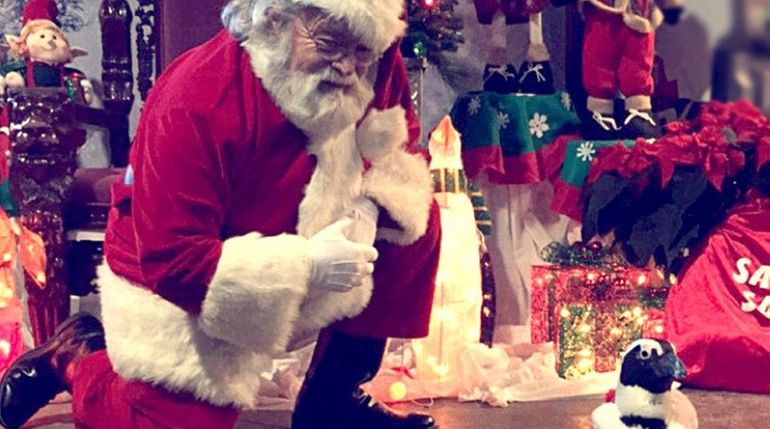 Penguins from the Long Island Aquarium in Riverhead visited Santa...