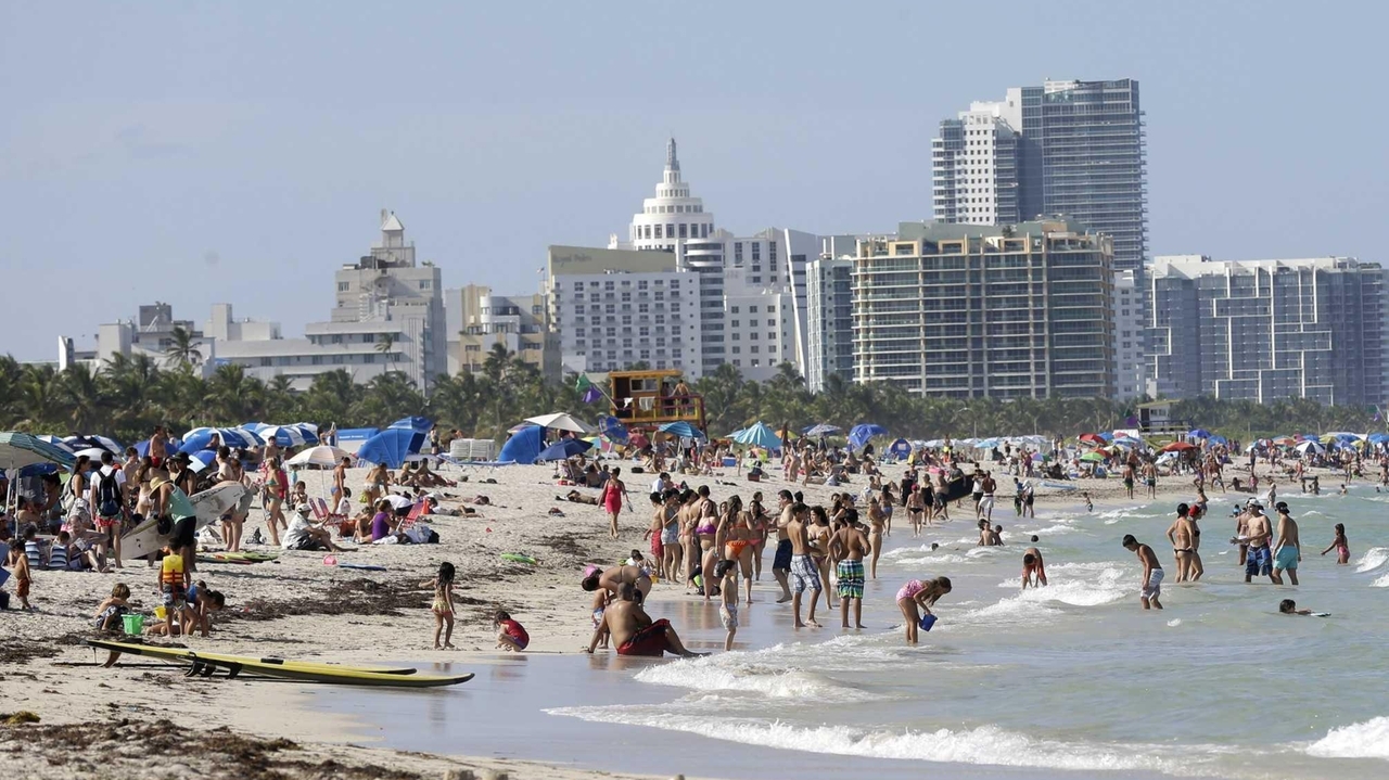 Hot Miami Beach hotel deals; savings in Maui Newsday