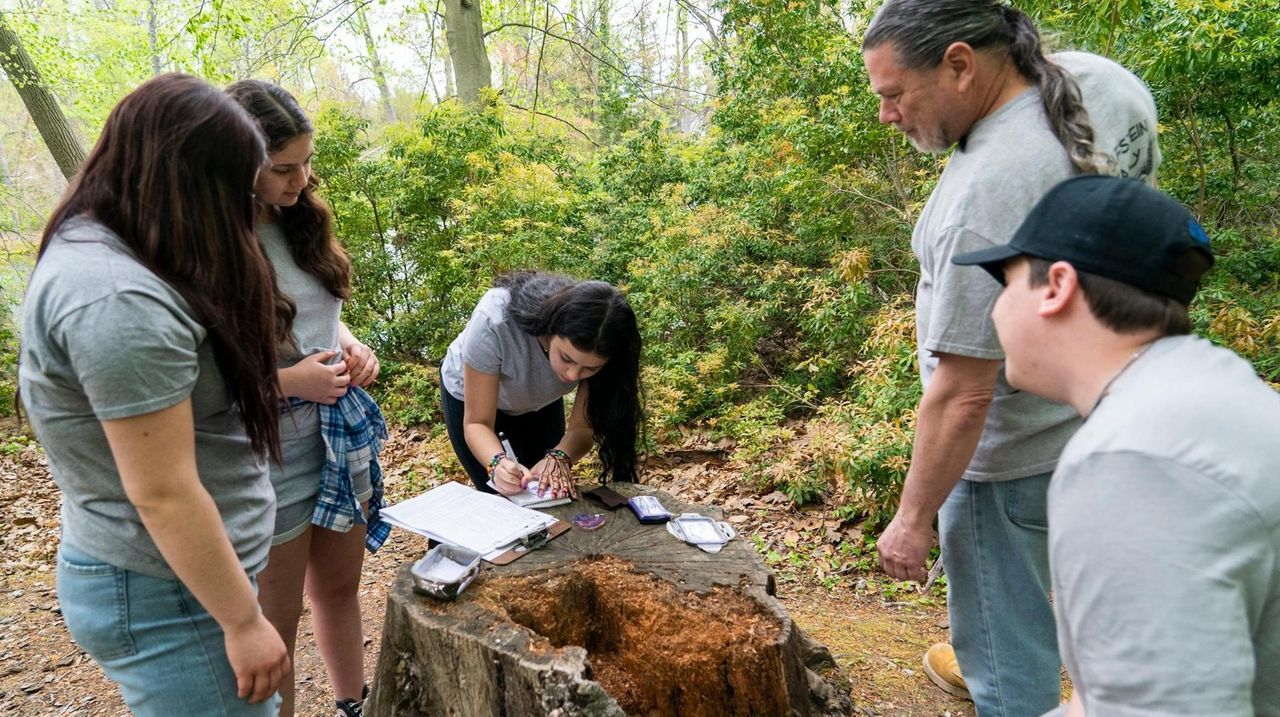 letterboxing-for-kids-what-is-it-and-how-to-get-started-wehavekids