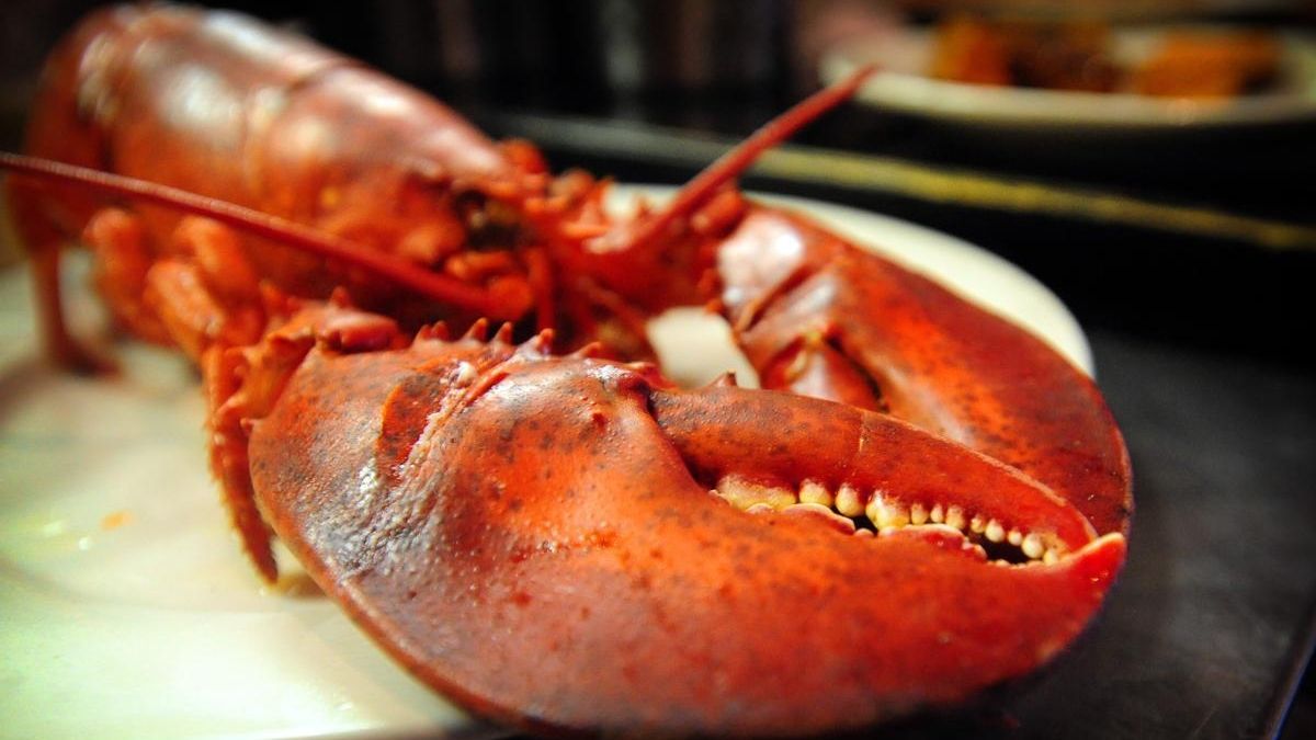 Coming soon TR in Hampton Bays Newsday