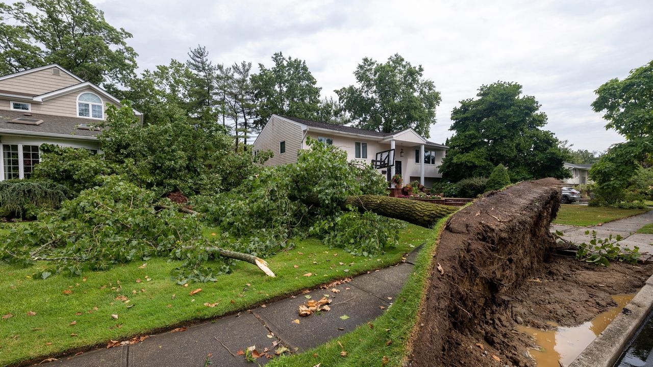 LI weather: Storms cause damage Monday but Tuesday should be calm - Newsday