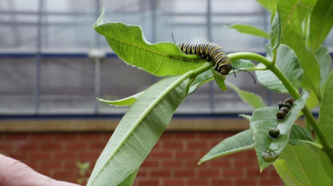 LI Schools With Students At Forefront Push Environmentally Friendly 