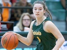 Long Island boys and girls basketball: Hardwood Heroes