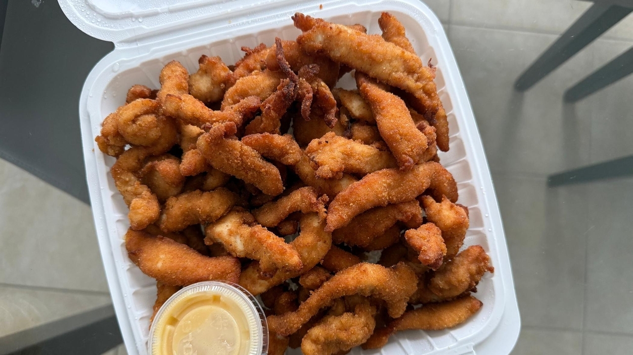 3 new Long Island spots to grab fried chicken