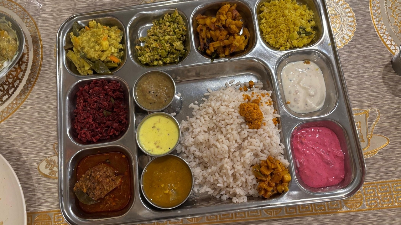 South & North Indian Cuisine Inc. opens in Hicksville