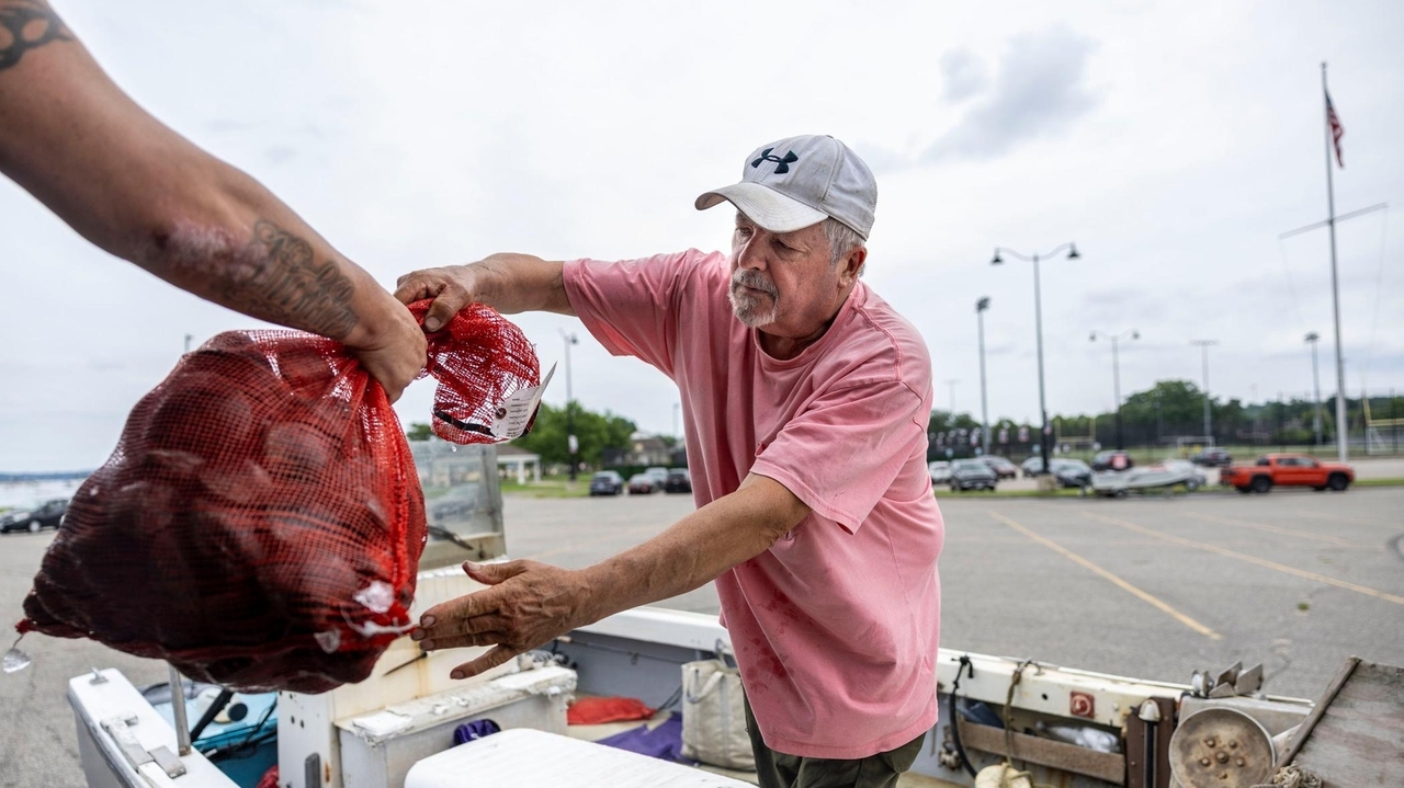 Oyster Bay plans $7M hatchery to restore oysters, clams in town waters