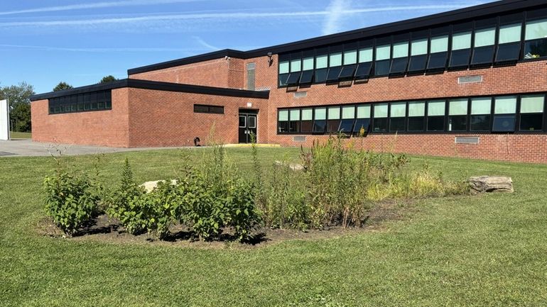 The rain garden designed by students at the West Hempstead...