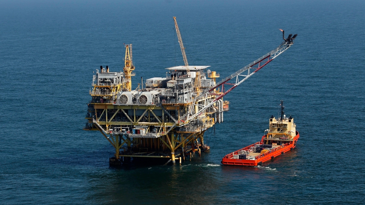 Judge blocks government plan to scale back Gulf oil lease sale to protect whale species - Vimarsana News