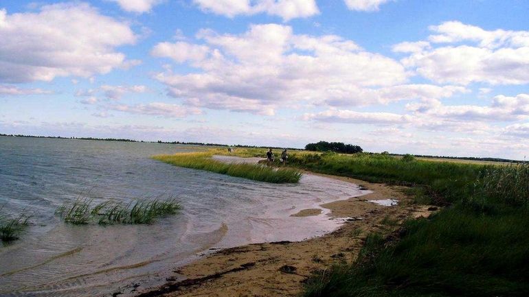 Water on the Long Island Sound.