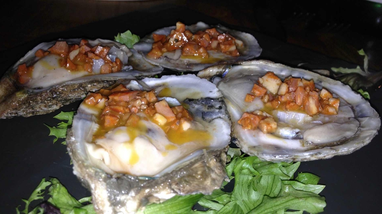 Viaggio Tapas in Rockville Centre: First bites - Newsday