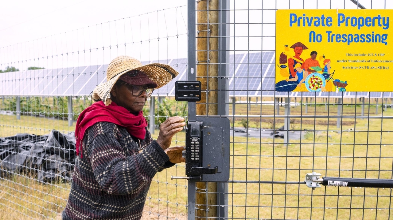Minnesota agrivoltaics project shows promise of mixing farming, solar ...