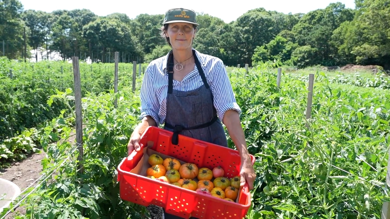 Chef-turned-farmer opens farmstand in Brookhaven - Newsday