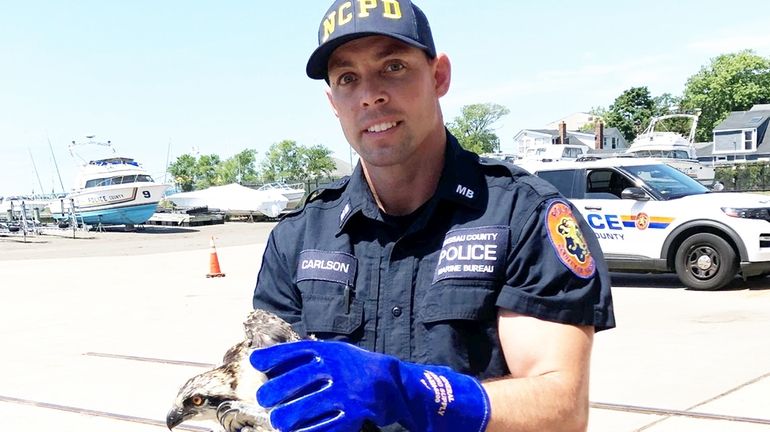 A Nassau police Marine Bureau officer with the rescued injured...