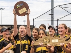 Wantagh wins Long Island Class A softball crown over Miller Place