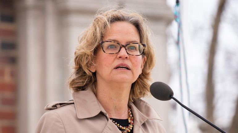 Nassau County Executive Laura Curran speaks during a rally in Great...