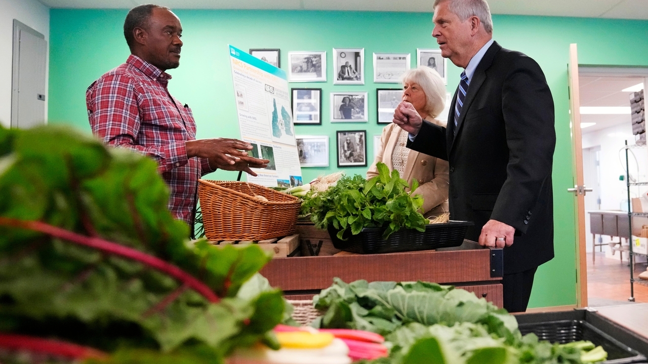 Agricultural producers and food businesses throught nation getting $320M boost from USDA - Vimarsana News