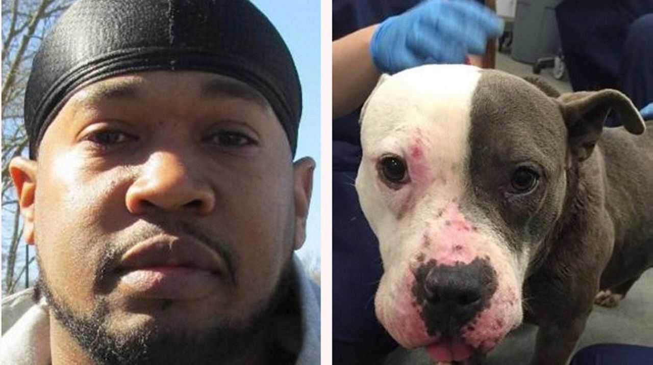 SPCA Mastic man charged with animal cruelty, gives up dog Newsday