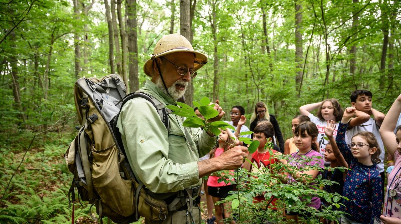 Forage for wild, edible plants around Long Island with the Wildman