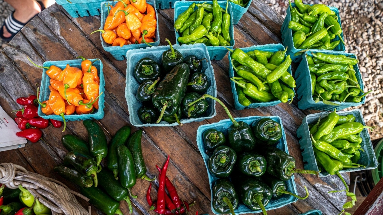 Buy 'farm futures' at LI's annual CSA fairs