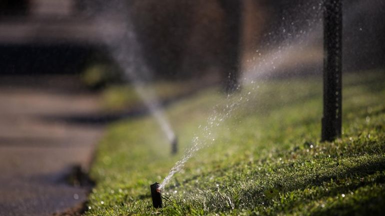 Sprinklers in operation along South Country Road in Bellport during...