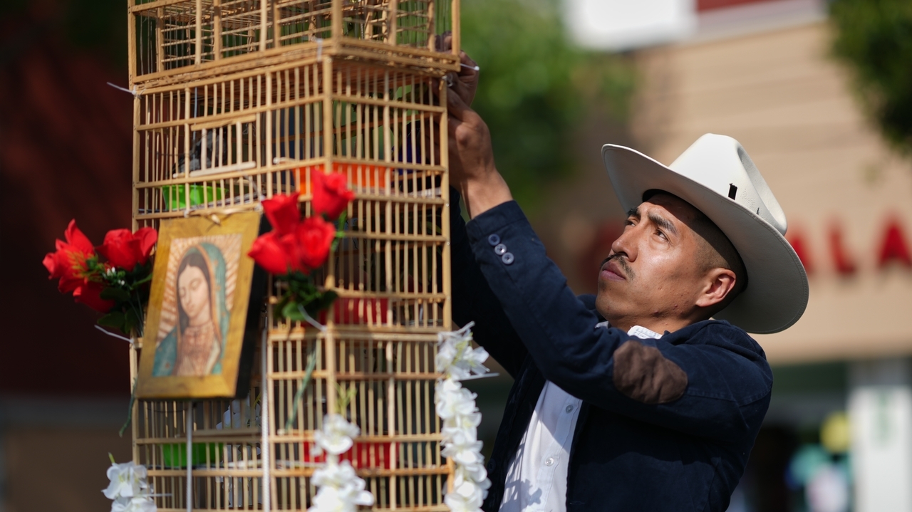 These men carry towers of birds through Mexico's streets. They say their tradition is dying