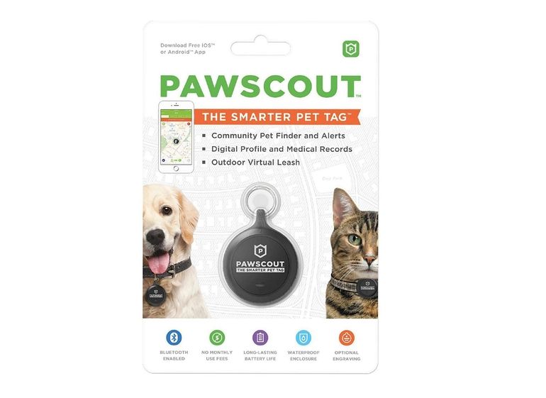 Paws'-itively spoiled: Gifts for pets and pet owners alike - Gift Shop  Magazine