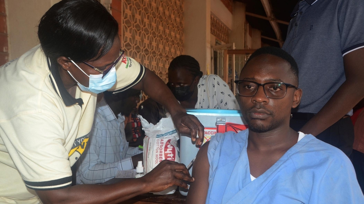 Uganda tackles yellow fever with new travel requirement, vaccination campaign for millions - Vimarsana News