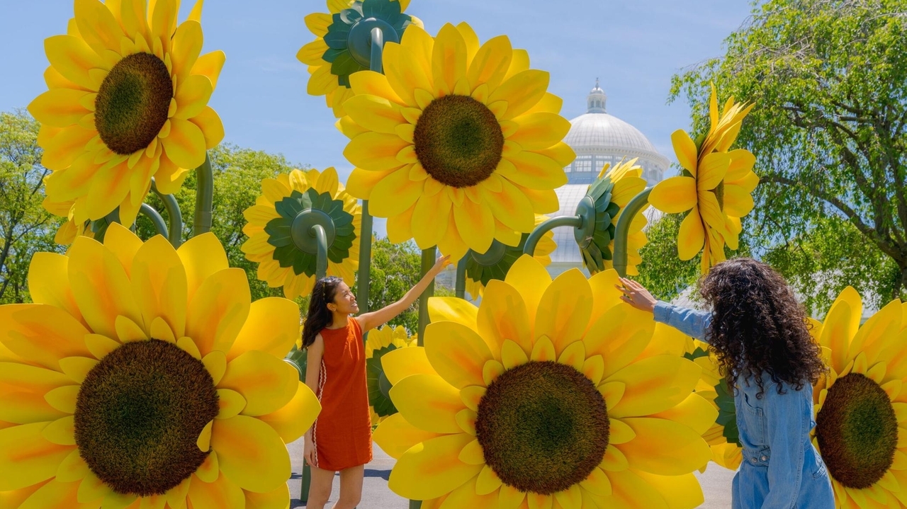 Bronx day trip: Visit 'Van Gogh's Flowers' at New York Botanical