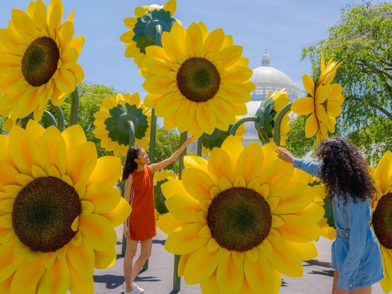 Bronx day trip: Visit 'Van Gogh's Flowers' at New York Botanical