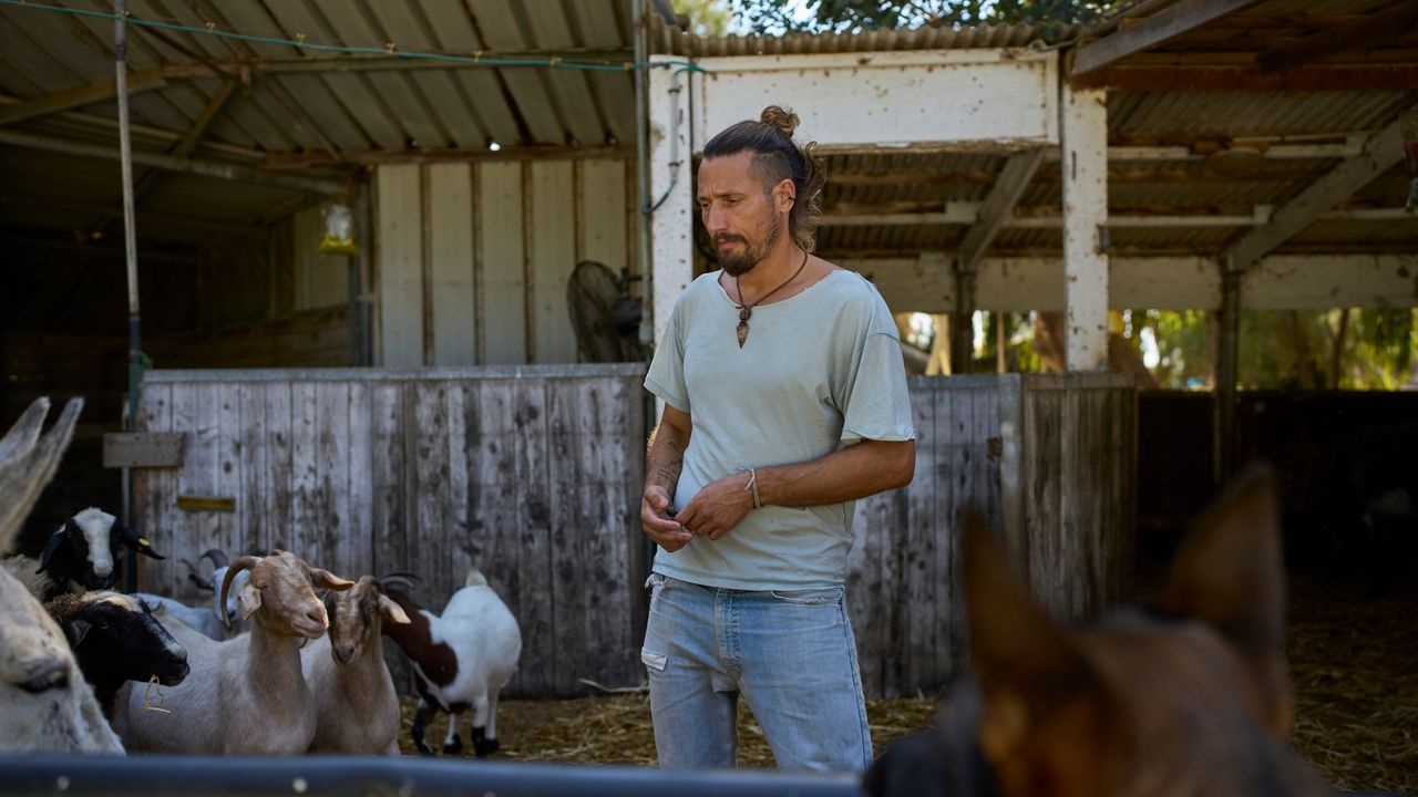 Israel's longest war is leaving a trail of traumatized soldiers, with suicides also on the rise