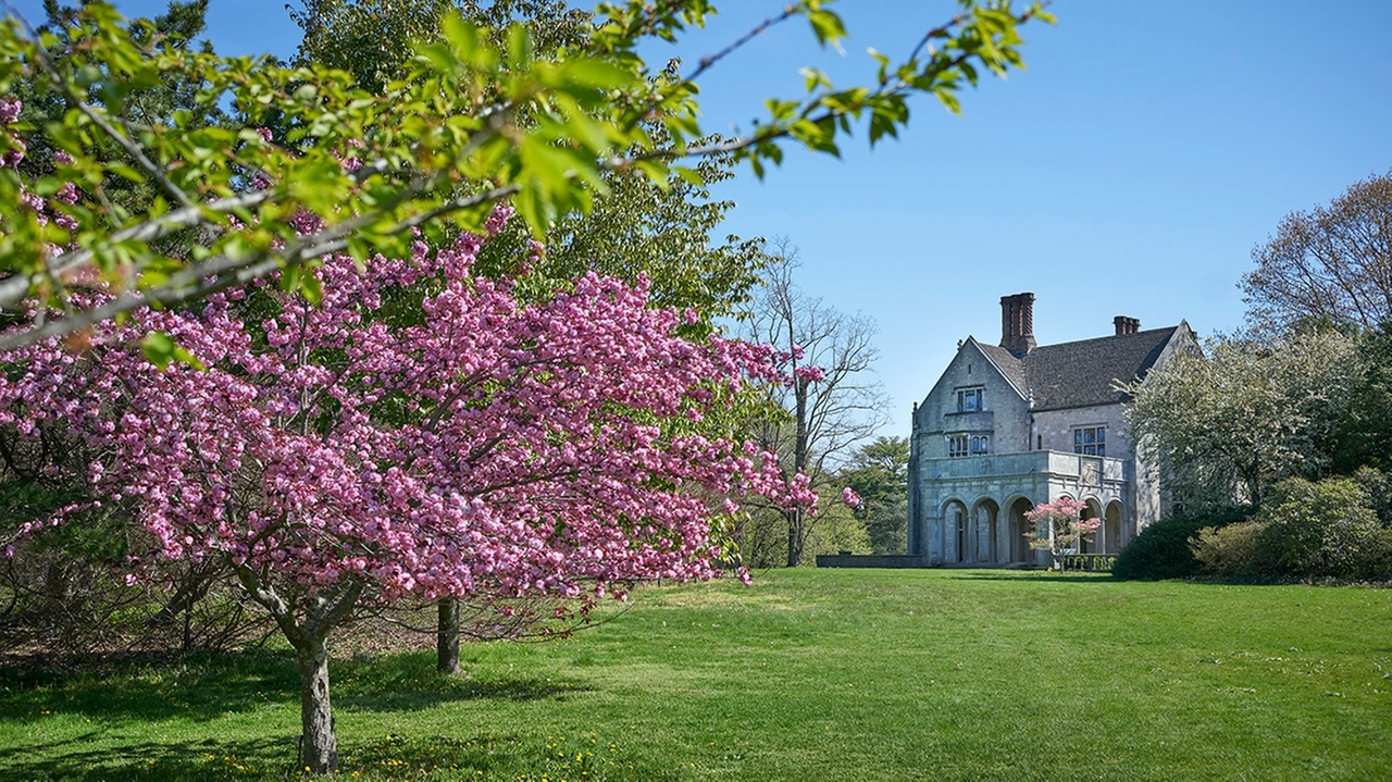 Gardens and arboretums to visit this spring on Long Island - Vimarsana News