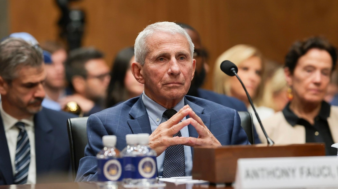 Vendetta against Fauci is a disgrace