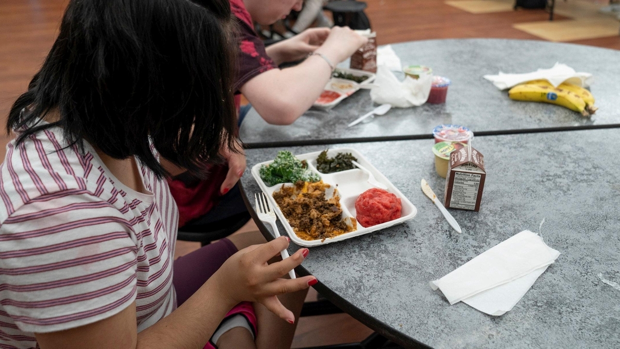 Advocates push for free school meals for all students statewide - Newsday