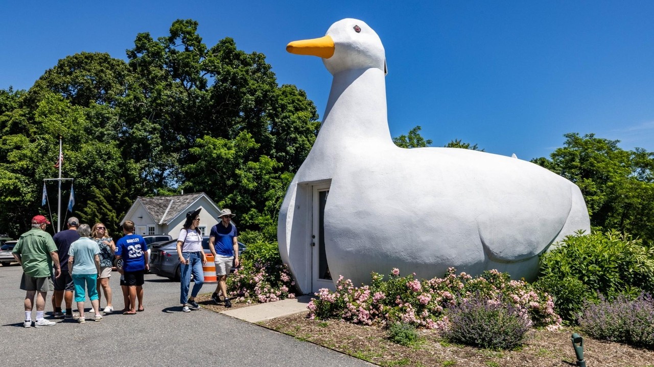 How many of these ultimate Long Island summer activities have you done?