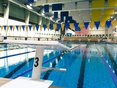 Hofstra adding men's and women's swimming and diving teams