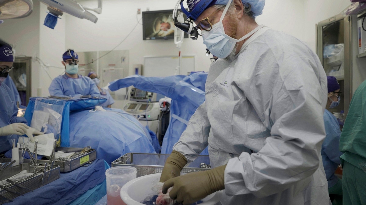 Kidney transplant from pig to brain-dead man in Manhattan hospital may help address shortage of organs for donation, doctors say - Vimarsana News