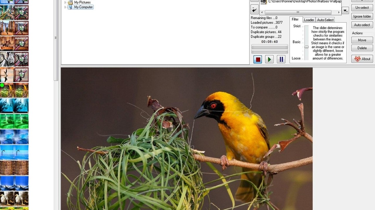 Find duplicate photos on your computer - Newsday