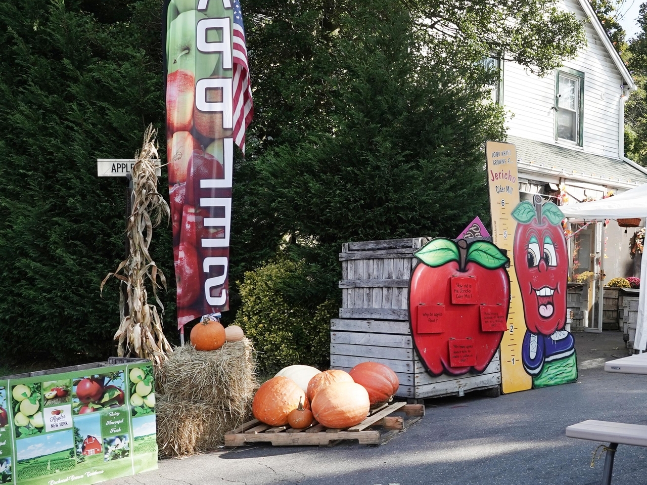 Find farms and fall activities in Nassau, western Suffolk - Newsday