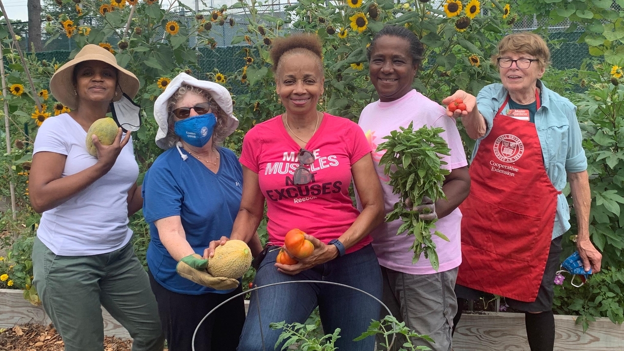 Beach cleanups, films, exhibits and more Earth Day events on Long Island - Vimarsana News