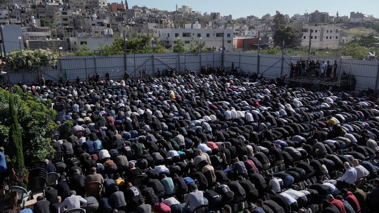 Let's be the change we want to see in Gaza, sadness in comic strip - Vimarsana News