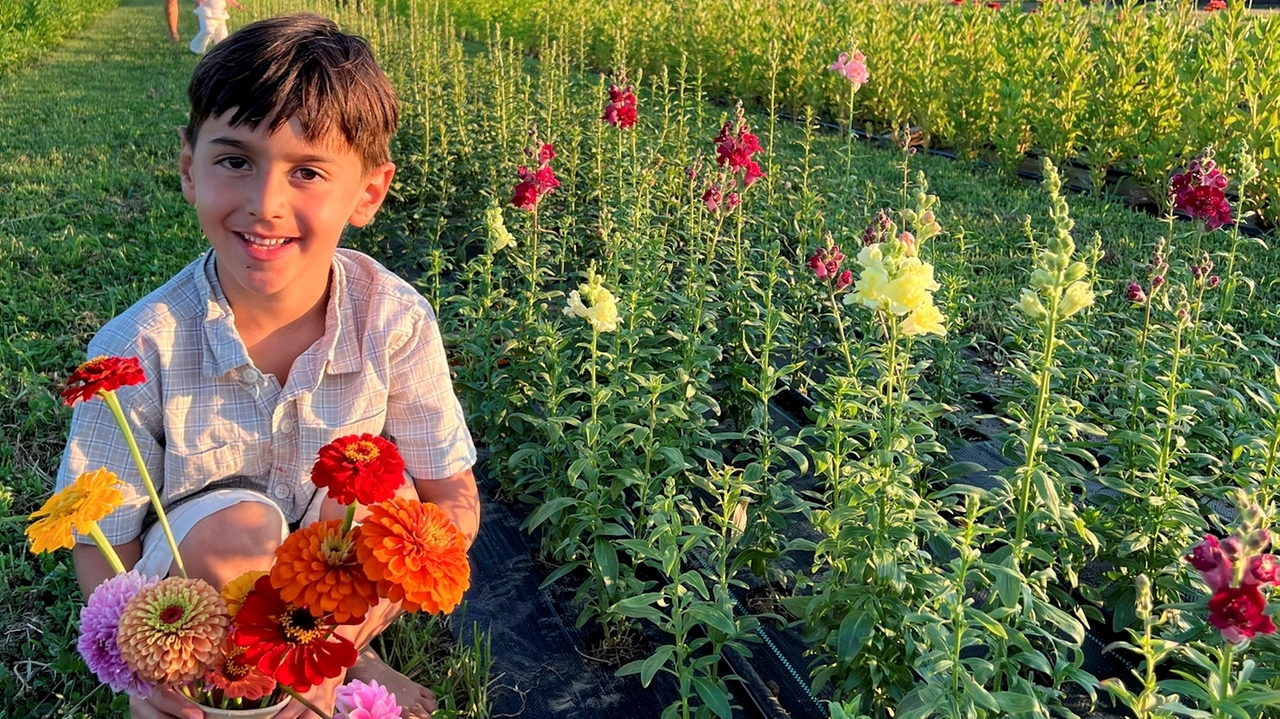 Hidden Blooms Flower Farm opens in Amityville with U-pick bouquets and strawberries