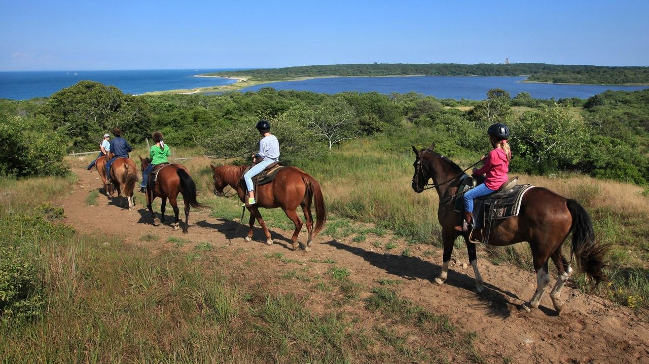 Stables to go horseback riding, take lessons on Long Island Newsday