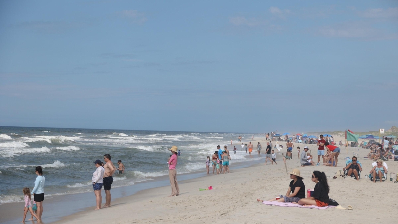 Beach reopens to swimmers after 50 sharks spotted off Robert Moses State Park today, officials say - Vimarsana News