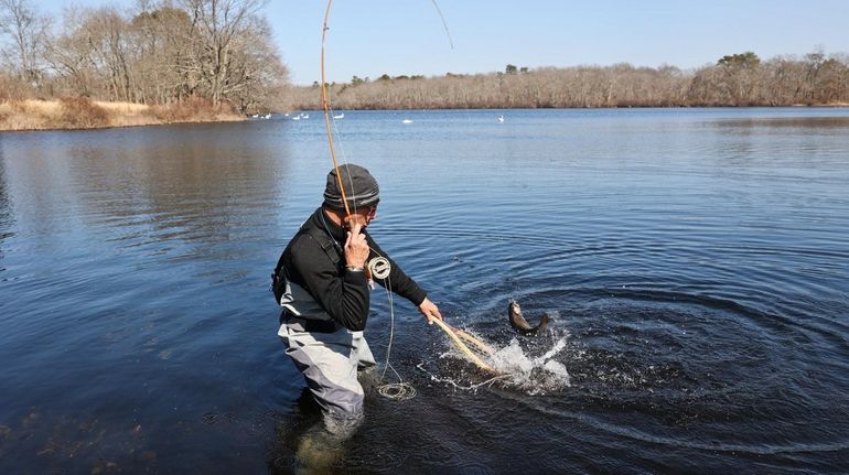 Frank Oliva, of Bayport, catches a Brook trout in main...