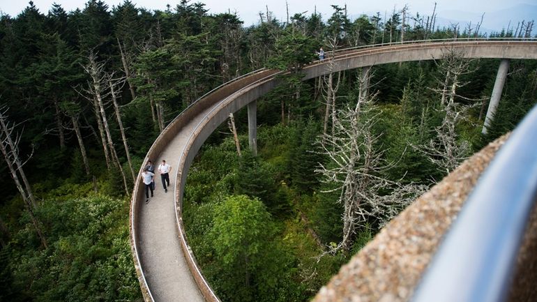 Members of the media walk down from Clingman's Dome tower...