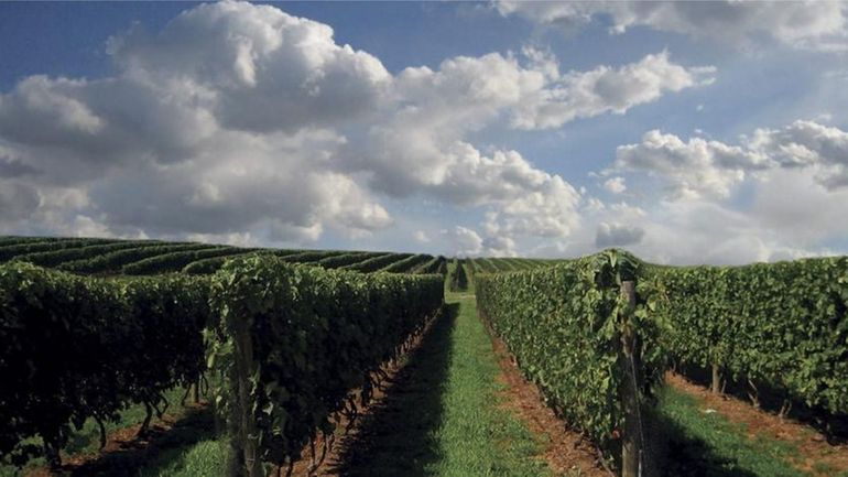 Wölffer Estate Vineyard, 139 Sagg Rd., Sagaponack, 631-537-5106, wolffer.com This...