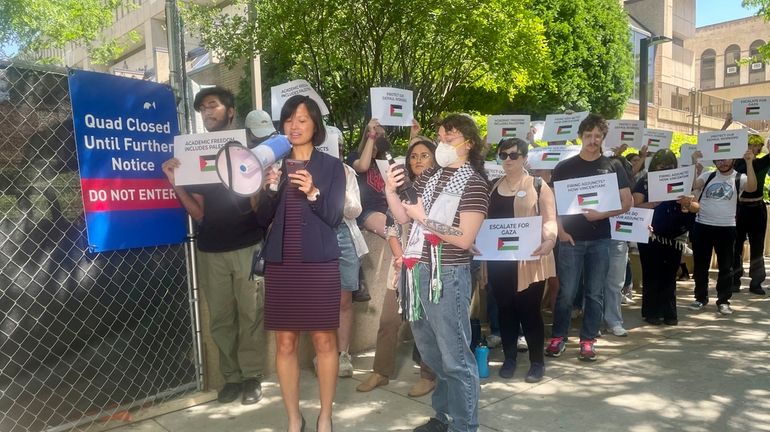 DePaul University adjunct professor Anne d'Aquino speaks to reporters with...