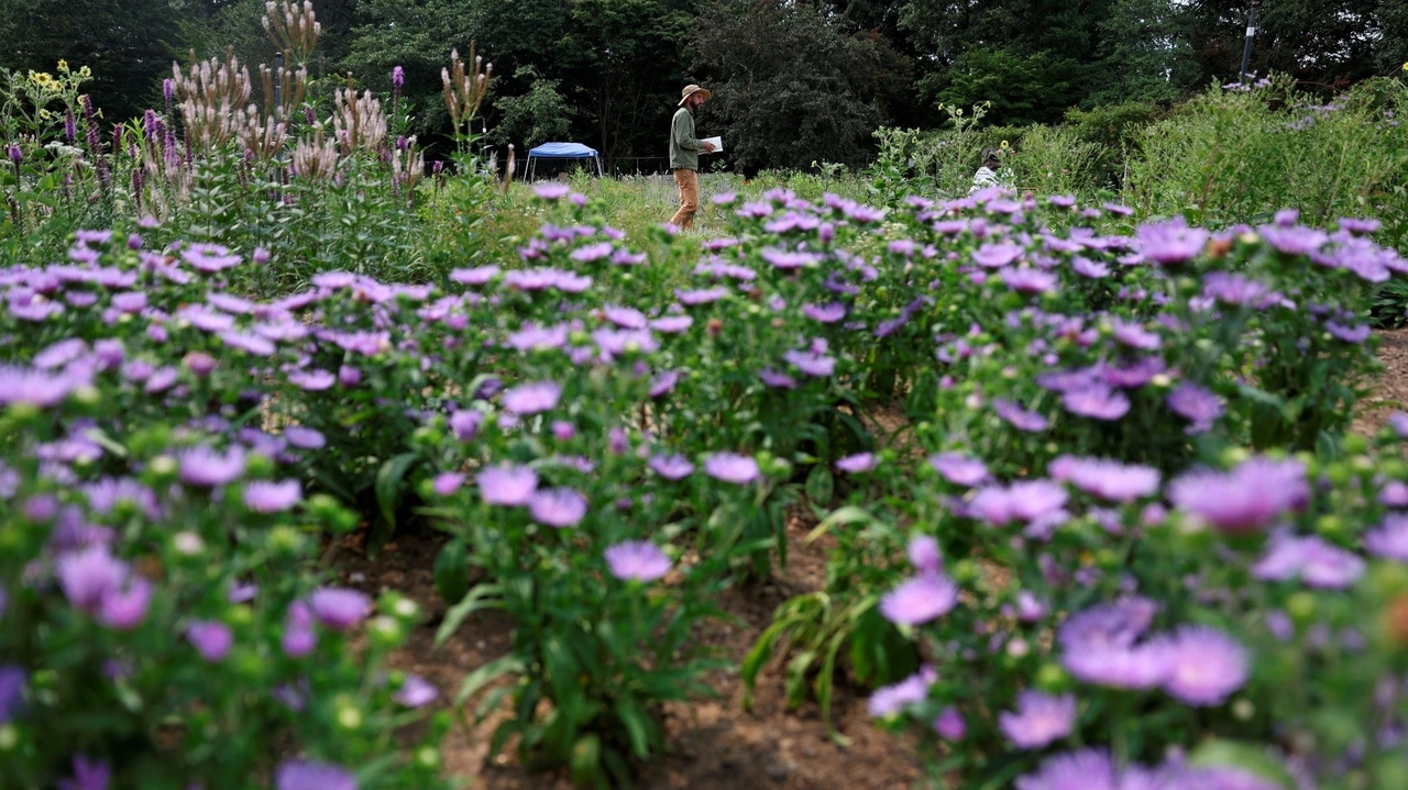 Planting Fields Arboretum ready for its 